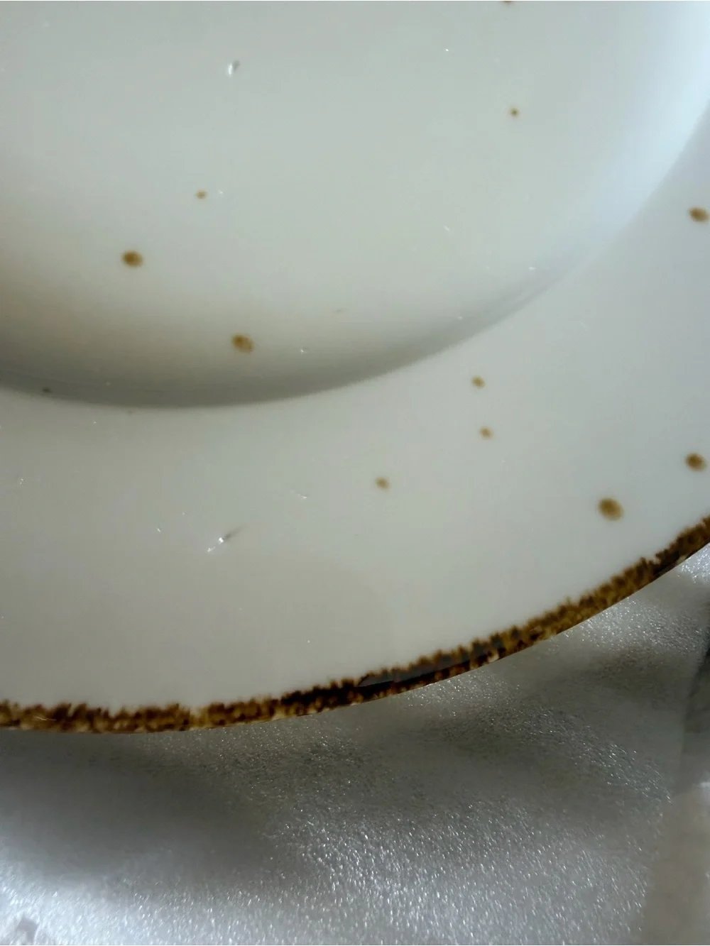 Ivory Ceramic Dinner Plate with Gold Speckle Edge